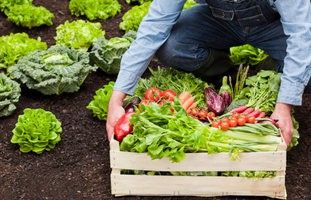 CECU alerta de riesgos para las personas consumidoras en la reforma europea del etiquetado ecológico