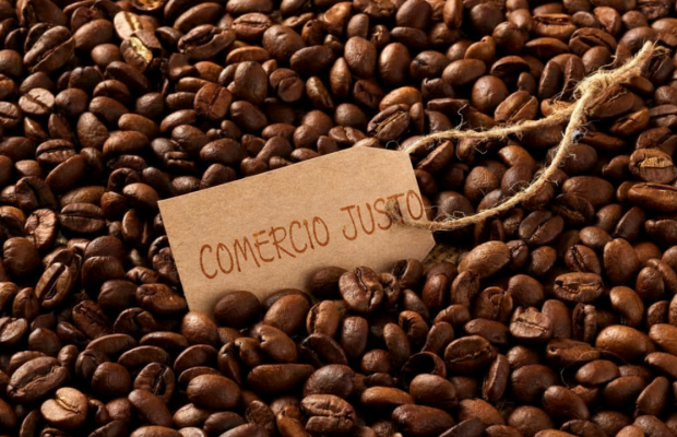 Copia de Gráfico_Derecho a Reparar