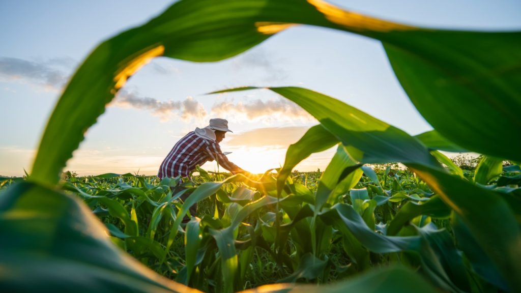El Foro de Acción Rural denuncia que naturaleza y desarrollo rural sólo pueden avanzar unidas: no hay futuro para los pueblos sin ecosistemas vivos, ni conservación posible sin población rural