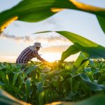 El Foro de Acción Rural denuncia que naturaleza y desarrollo rural sólo pueden avanzar unidas: no hay futuro para los pueblos sin ecosistemas vivos, ni conservación posible sin población rural