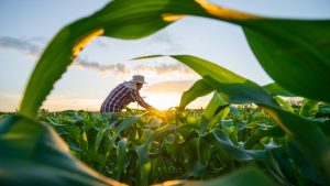 El Foro de Acción Rural denuncia que naturaleza y desarrollo rural sólo pueden avanzar unidas: no hay futuro para los pueblos sin ecosistemas vivos, ni conservación posible sin población rural