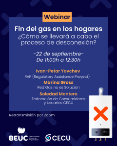 WEBINAR | Fin del gas en los hogares. ¿Cómo se llevará a cabo el proceso de desconexión?