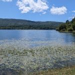 La comunidad de As Conchas presenta una demanda de ejecución para obligar a la Xunta y a la Confederación Hidrográfica Miño-Sil a cumplir la sentencia histórica sobre la contaminación en A Limia