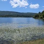 La comunidad de As Conchas presenta una demanda de ejecución para obligar a la Xunta y a la Confederación Hidrográfica Miño-Sil a cumplir la sentencia histórica sobre la contaminación en A Limia