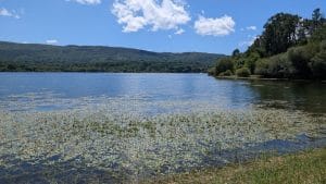 La comunidad de As Conchas presenta una demanda de ejecución para obligar a la Xunta y a la Confederación Hidrográfica Miño-Sil a cumplir la sentencia histórica sobre la contaminación en A Limia