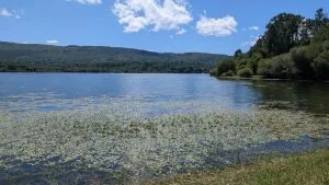 La comunidad de As Conchas presenta una demanda de ejecución para obligar a la Xunta y a la Confederación Hidrográfica Miño-Sil a cumplir la sentencia histórica sobre la contaminación en A Limia